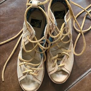 Freebird by Steven sandles